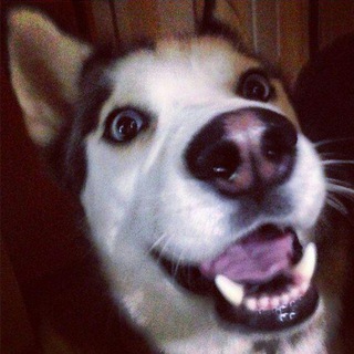 Логотип @jack_rrr - Безобидный Джек