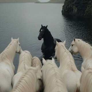 Логотип @jaesamine - 𝗝𝗔𝗘𝗦𝗔𝗠𝗜𝗡𝗘