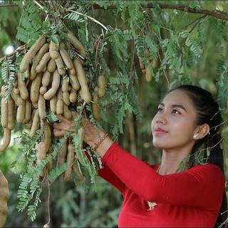 Логотип @jalan_tamarind - Jalan Tamarind