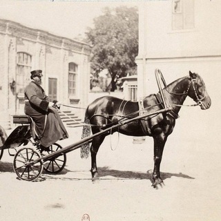 Логотип @jamshik - ЯМЩИК NEWS