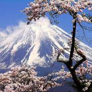 Логотип @japan_med - Здоровье из Японии