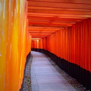 Логотип @japanesetoday - Японский язык легко!