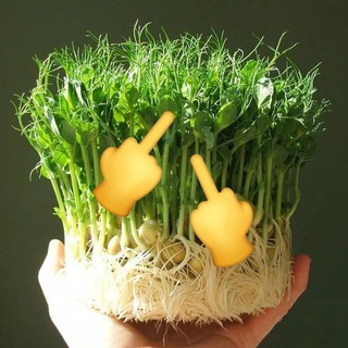 Логотип @jardin_cruel - Оскорбительное садоводство