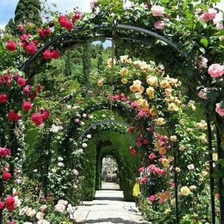 Логотип @jardineria_espagnola - 🥬 Jardinería Española 🇪🇸 Tips, plantas y mas 🌹🌻