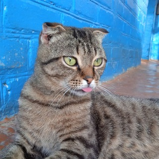 Логотип @jaschaaaaaa - 𝑱𝑨𝑺𝑪𝑯𝑨🥰🤩