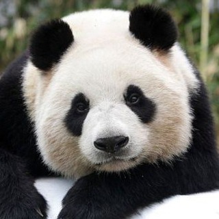 Логотип @jbdesignnews - Крепкие колокольчики