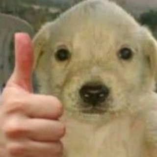 Логотип @jdjdjfdp2 - игры по душе