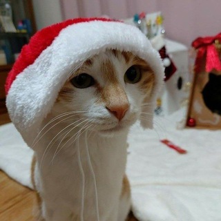 Логотип @jdygb - Kpop games☠