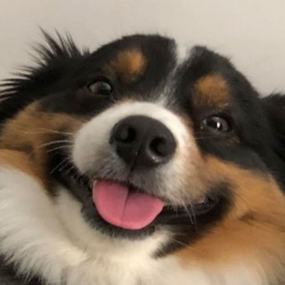 Логотип @jeefes - Гефки