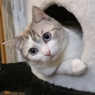 Логотип @jellybook - Желька