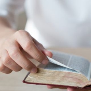 Логотип @jendolya - Женская доля