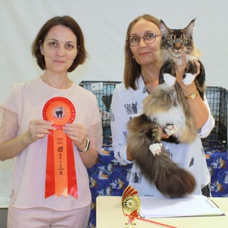 Логотип @jenevievalinemco - JenevievaLine мейн-куны питомник cattery MCO