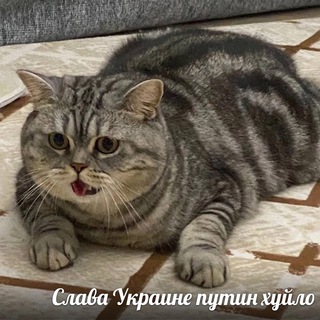 Логотип @jeppa420 - жёппа