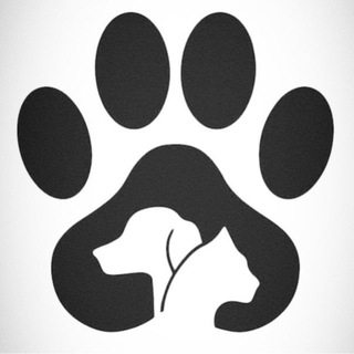 Логотип @jeshxnjx - Про животных🐯