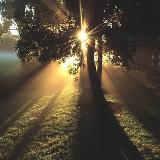 Логотип @jesussay - Иисус Говорит С Тобой