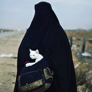 Логотип @jinkamz - бесстрашный воин.