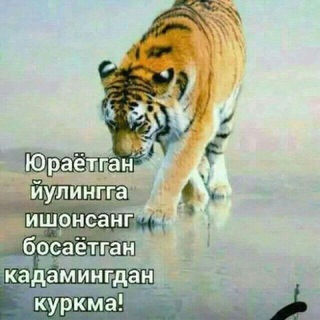 Логотип @jinnilar_armiyasi - ADMINLAR꧁❤️АЛЛОХНИ СЕВАДИГАНЛАР🕋꧂ АЛЛОХГА ШУКУР❤️