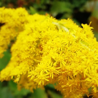 Логотип @jivoe_pravo - Права и Право