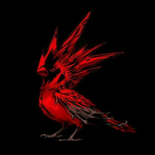 Логотип @jiydakapa_2002_bolla - 👊RADIKKLAR👊