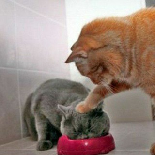 Логотип @jkhstop - ЖКХ - хватит