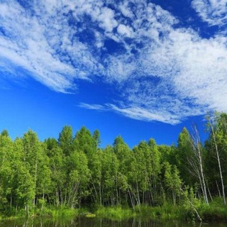 Логотип @jm1234569 - 暗网 交易 担保 cvv btc