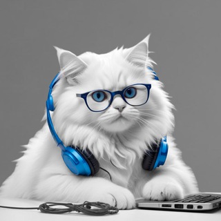 Логотип @jobinit - Вуса, лапи, технології 😺