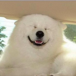 Логотип @jobkzn - Работа в Казани