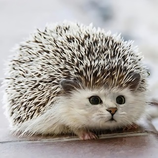 Логотип @john_doery - Дневник экземплификанта