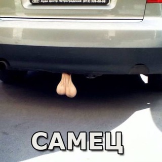 Логотип @joinchat777frog - Приколюхи