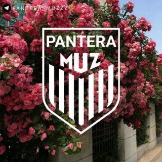 Логотип @joinchatpanteramuzz - ⚜PANTERA|MUZZ⚜
