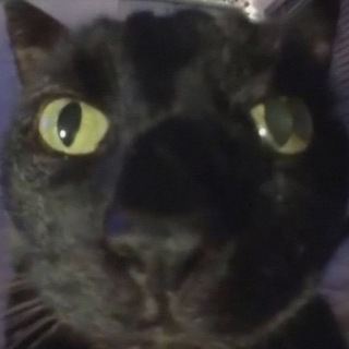 Логотип @jokehive - ооо мемевое