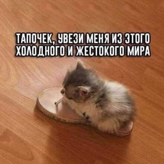 Логотип @joker_v_stendape - Стендап Полишинеля