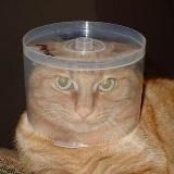 Логотип @jokesandmemesss - Анекдоты с бородой и усами|+18