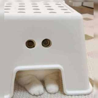 Логотип @jokeseveryda - Шутейки и мемы