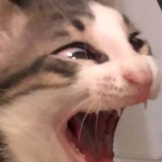 Логотип @jokestotears - Шутки до слез