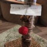 Логотип @jopypodrug - Жопы твоих Подруг