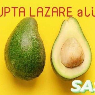 Логотип @jorelzangtchoupta - JORELZANGTCHOUPTALAZARE❣️🇨🇲❣️