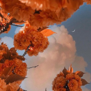 Логотип @journal_vdox - 🌙 Журнал Вдохновение 🌙