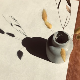 Логотип @jprokoffphoto - Фотограф Евгения Прокофьева