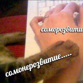 Логотип @jsfordummies - Самонеразвитие