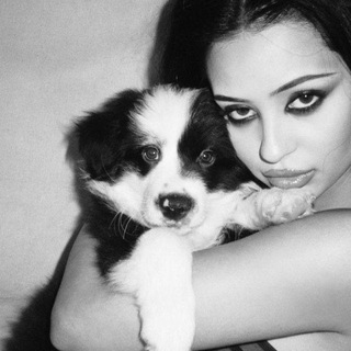 Логотип @jsjejdjdjdj - коммы даунов