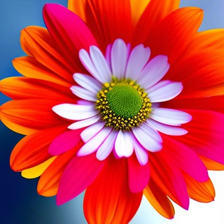 Логотип @juda_ajoyib - Дунё 🌏 ажойиботлари