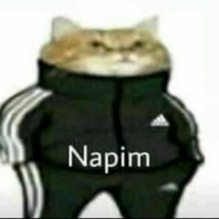 Логотип @judgeailesi - Ex Judge