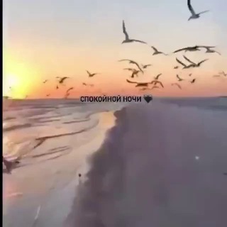 Логотип @julia_5556 - Осознанность, развитие и взаимоотношения🙏🏻
