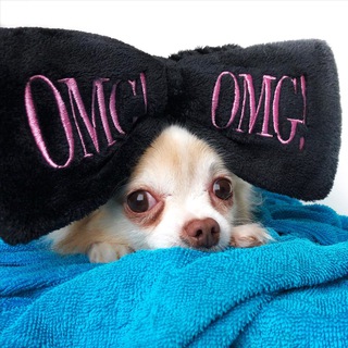 Логотип @julibriz - Julia Briz про iHerb