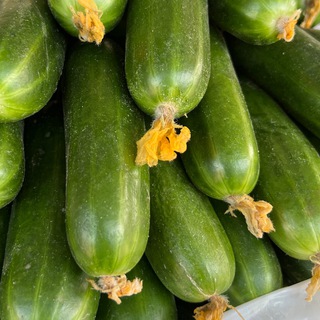 Логотип @jumagultashkent - JUMAGUL