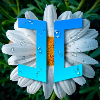 Логотип @just_case - JUSTCASE