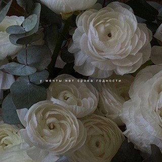 Логотип @just_lifefor - Performance 💋