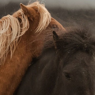 Логотип @justbreathm - نفس🌿🌕