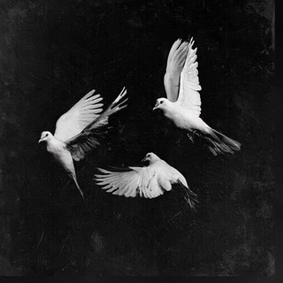 Логотип @justcomehomee - Just come home...